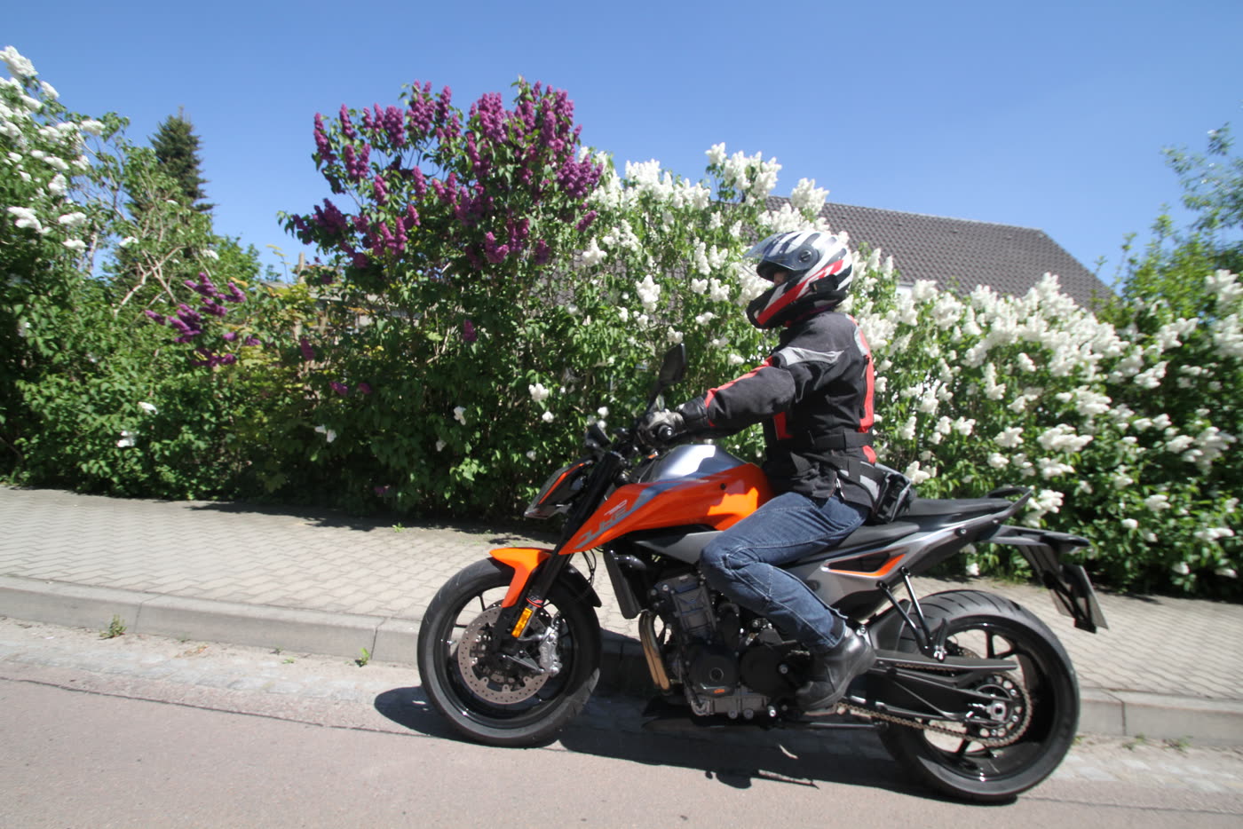Motorrad fährt an blühendem Flieder durch eine Ortsdurchfahrt Motorrad fährt an blühendem Flieder durch eine Ortsdurchfahrt